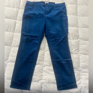 NWT Skinny Curvy Size 16 LOFT Pants